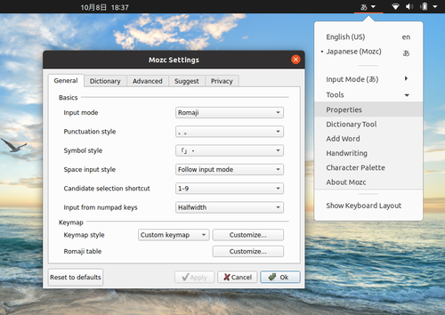 UbuntuOS 20.04 Mozc 設定画面